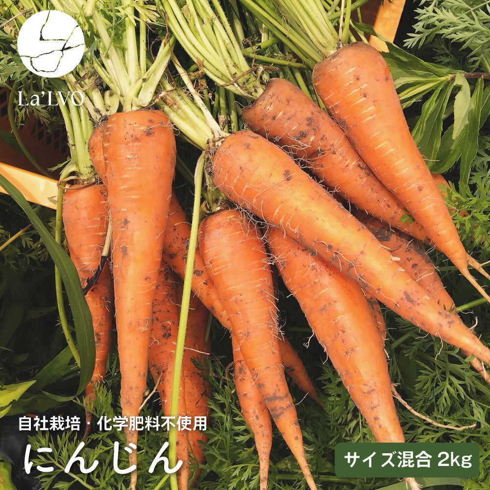 自社栽培無農薬にんじん｜サイズ混合【約2kg】