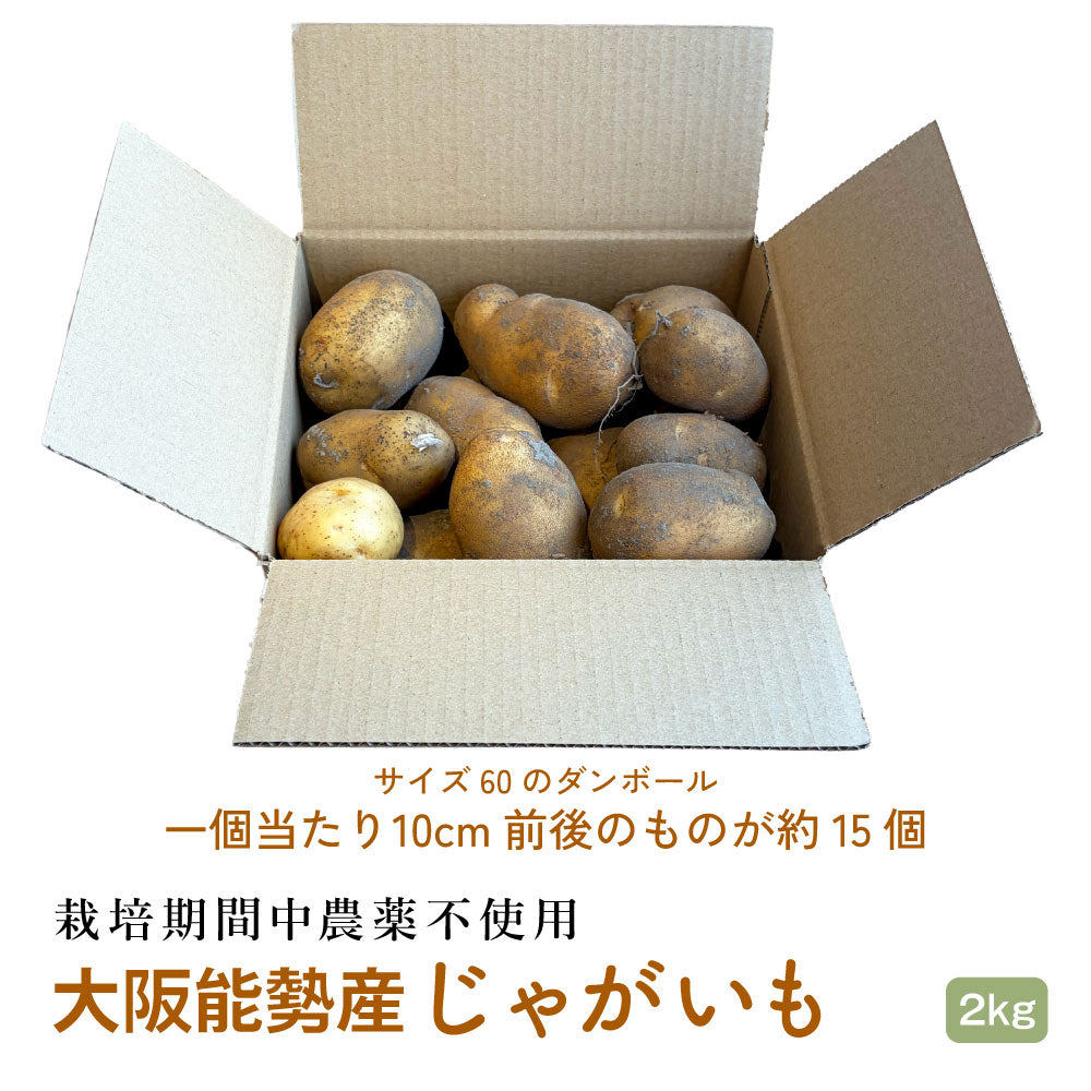 自社栽培無農薬じゃがいも｜サイズ混合