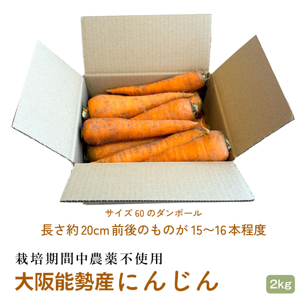 自社栽培無農薬にんじん｜サイズ混合