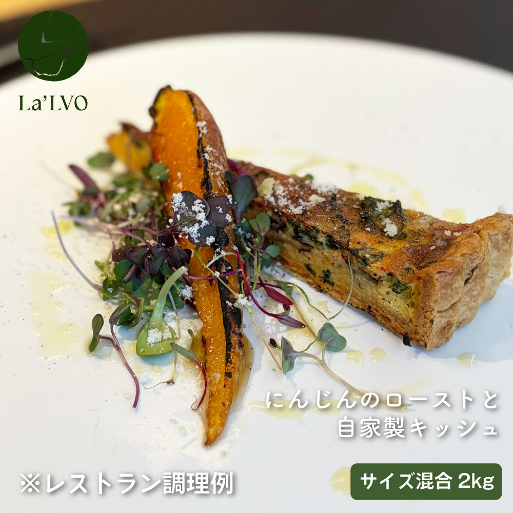 自社栽培無農薬にんじん｜サイズ混合【約2kg】
