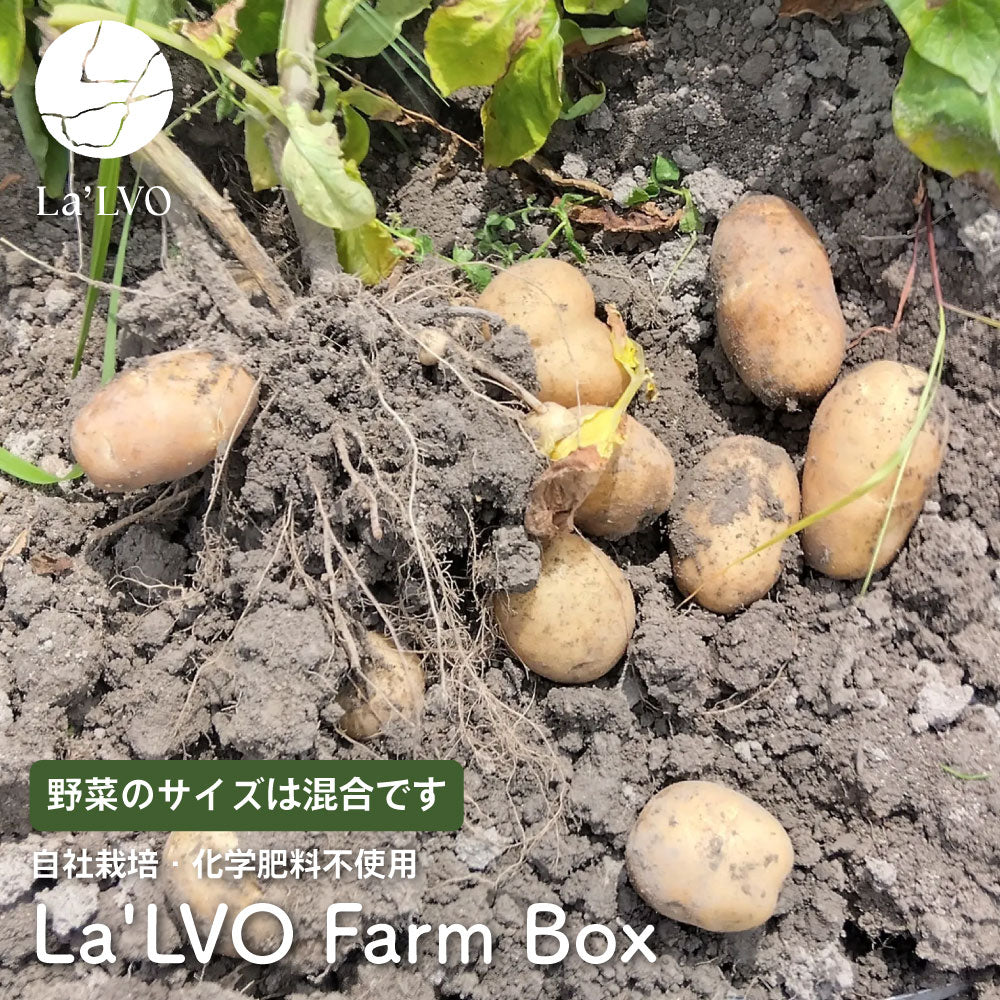La'LVO Farm Box｜季節の野菜と手づくりソースのセット