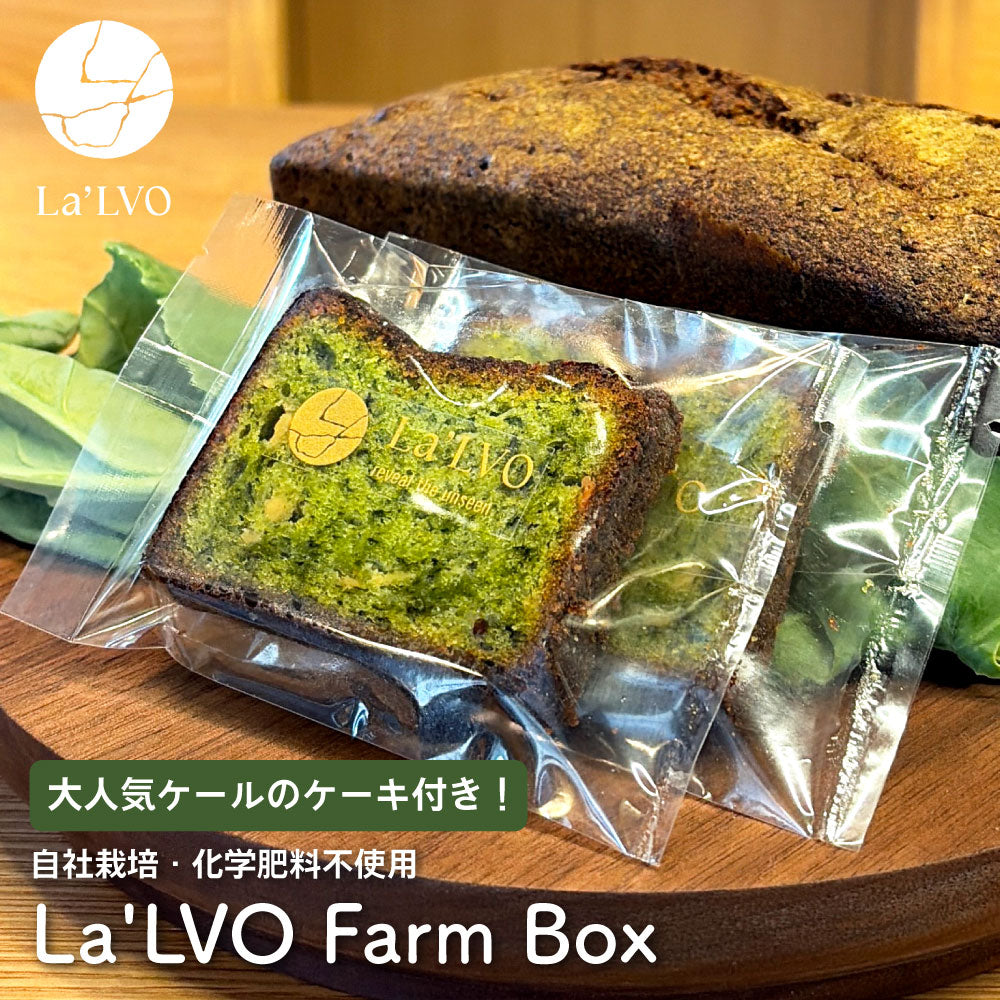 La'LVO Farm Box｜季節の野菜と手づくりソースのセット