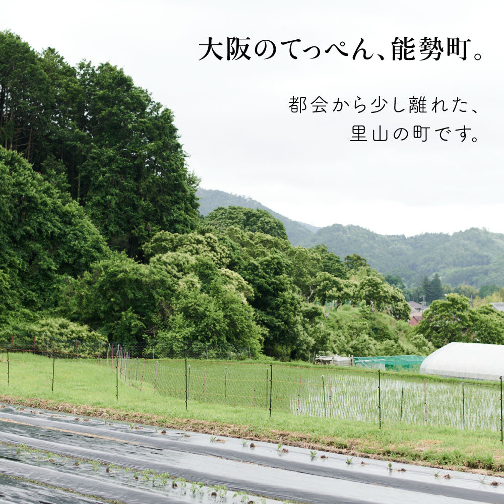 能勢の畑から 夏のおまかせ野菜BOX