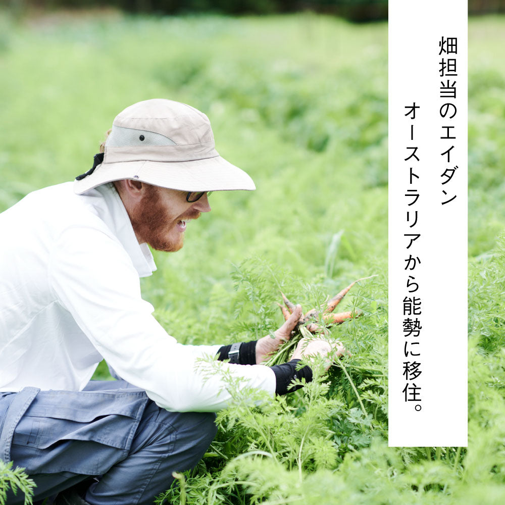 能勢の畑から 夏のおまかせ野菜BOX