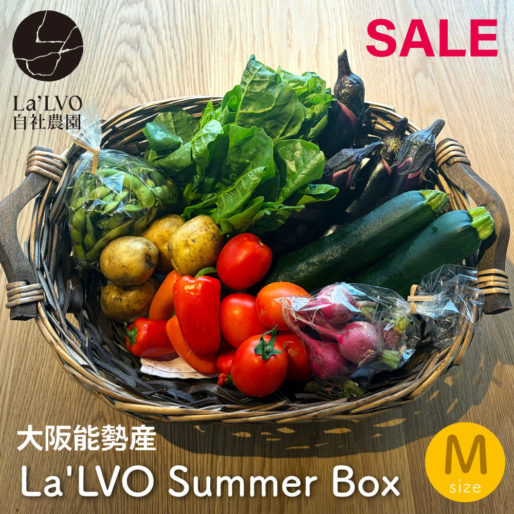 能勢の畑から 夏のおまかせ野菜BOX