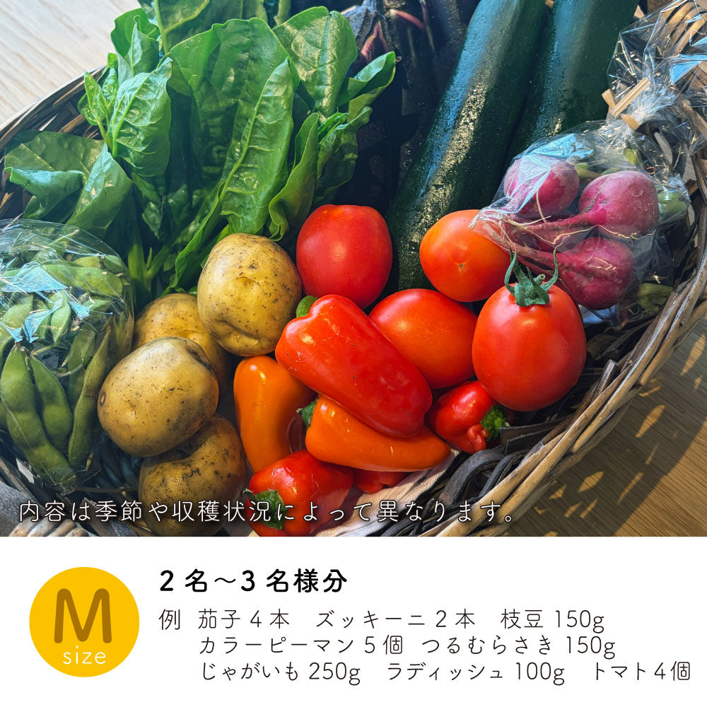 能勢の畑から 夏のおまかせ野菜BOX