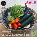 能勢の畑から 夏のおまかせ野菜BOX