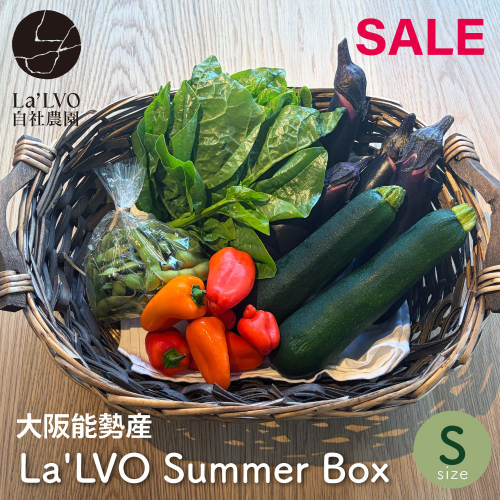 能勢の畑から 夏のおまかせ野菜BOX