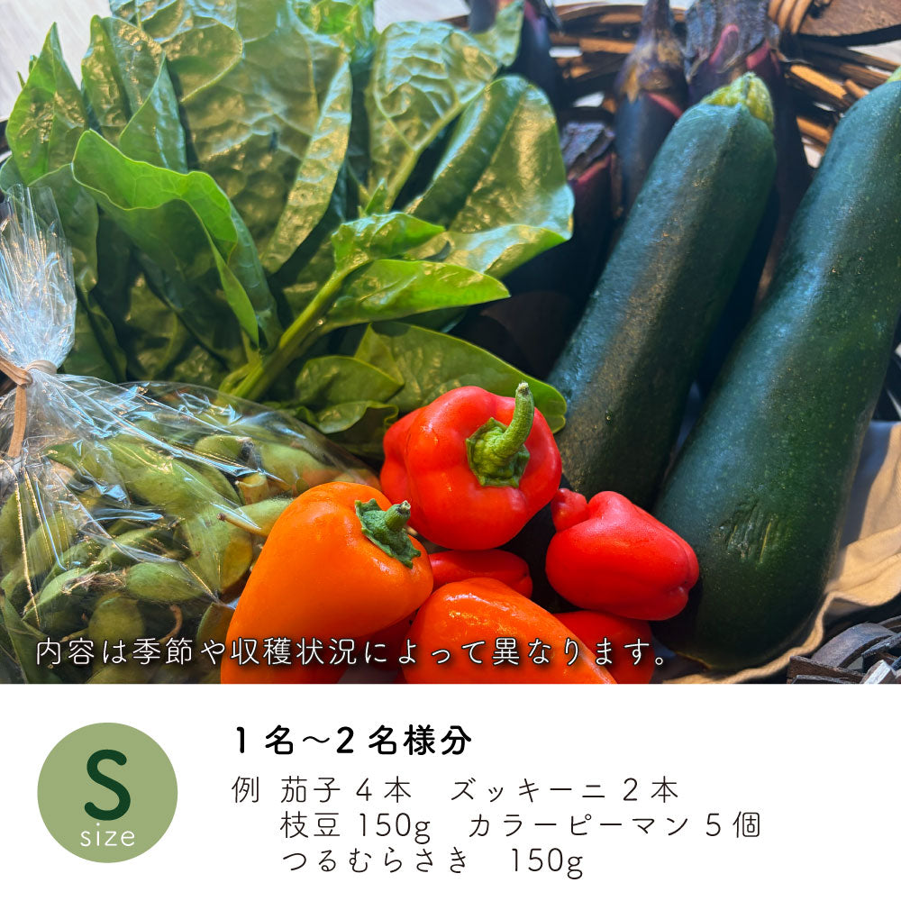能勢の畑から 夏のおまかせ野菜BOX