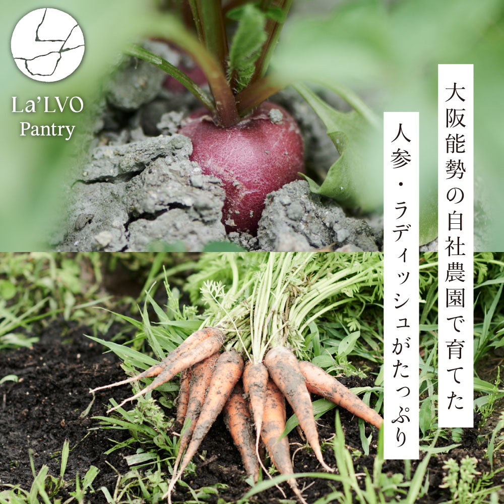 自社農園野菜のピクルス〜人参、ラディッシュ〜